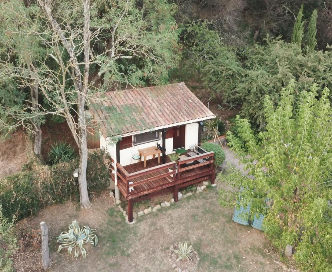 The Petite Chalet Chambre d'hôtes L'Isle-Jourdain  Extérieur photo